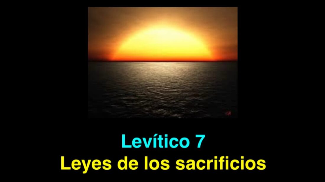Levítico 7
