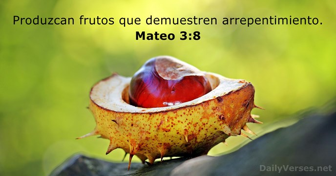 palabras de aliento de la biblia Mateo 3