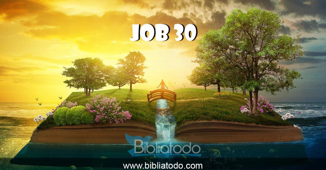 Job  30