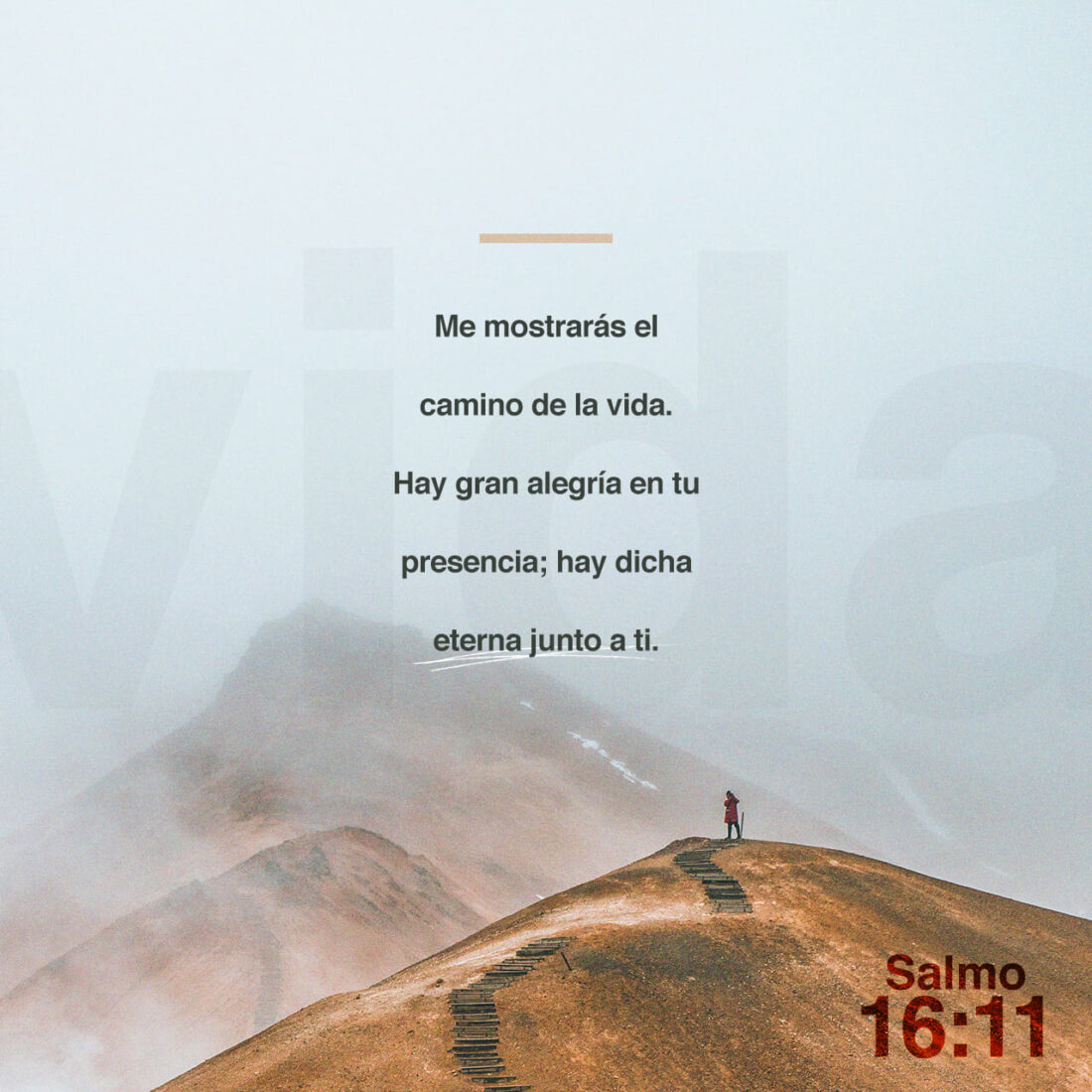 Salmos 16